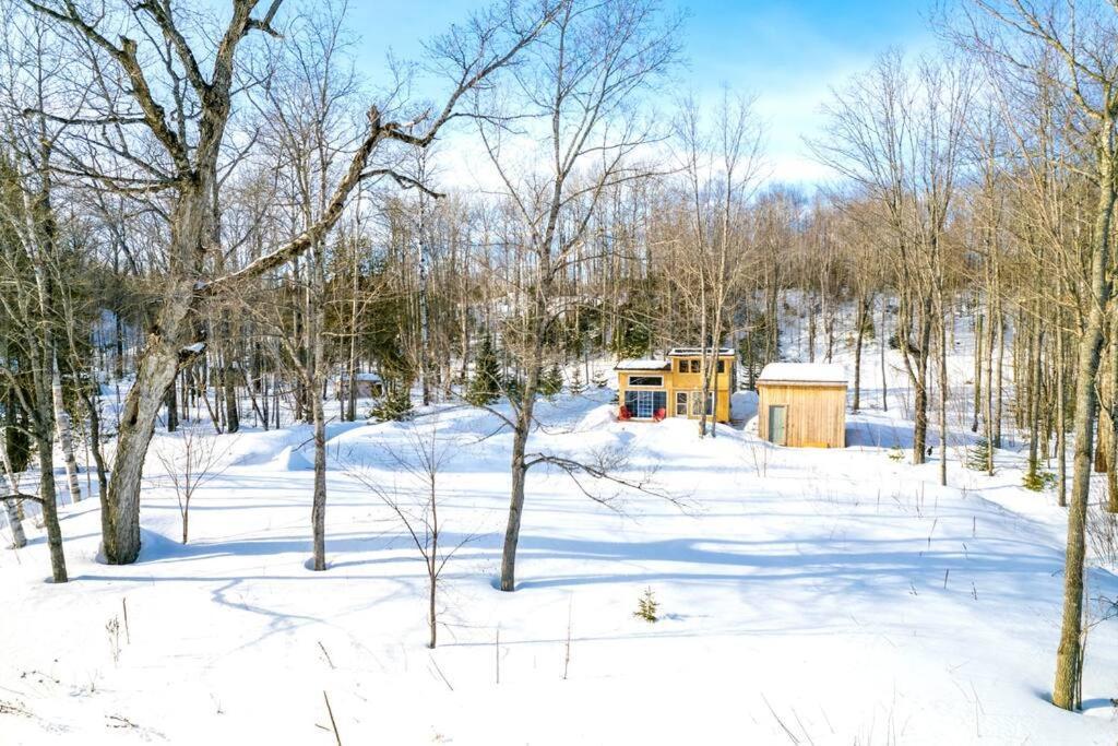 Cozy Cabin For Intimate Wilderness Escape Villa Bathurst Exterior photo